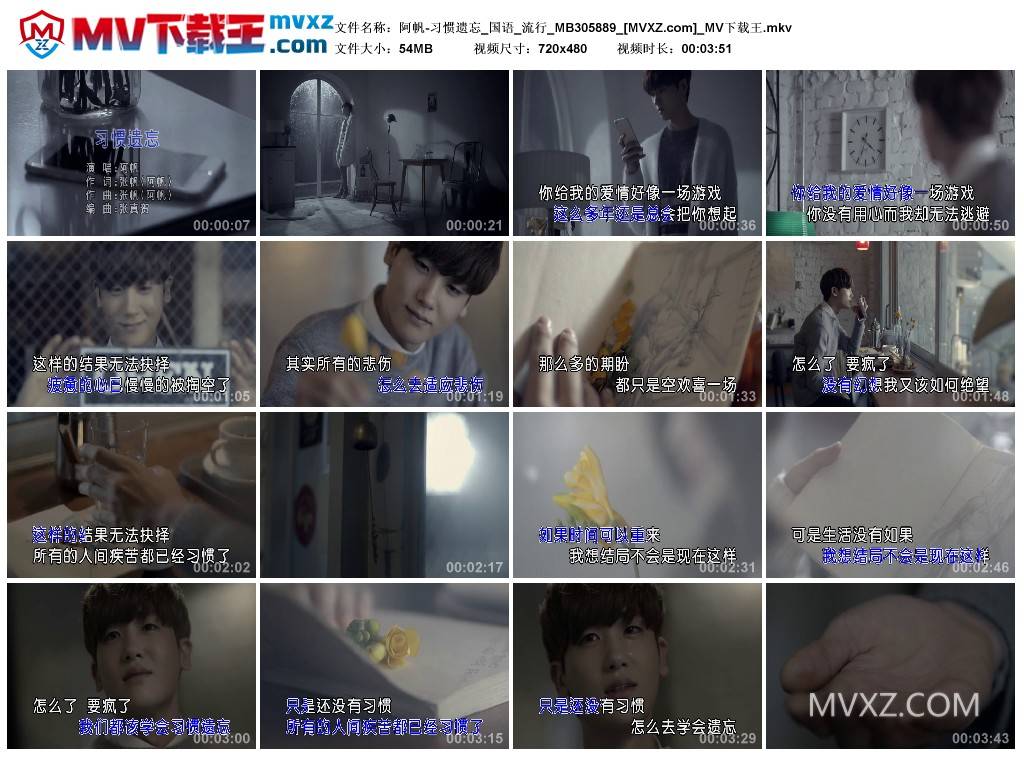 阿帆-习惯遗忘_国语_流行_MB305889